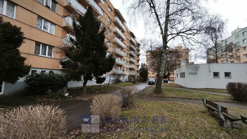 3+kk po kompletní rekonstrukci u nemocnice v ČB